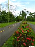 Paseo Lineal del Río Bayamón - BAYAMÓN
